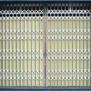 Cửa kéo Đài Loan Có Lá U Xanh, nhíp trắng, lá màu kem